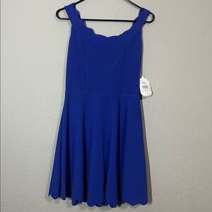 Altar'd State Royal Blue Dress with Zipper NWT